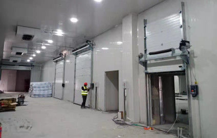 kaufen Galvanisierte Stahl Garagentür RAL9006 Farbe Niedrigwartung online manufacture